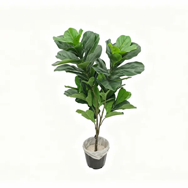 گیاه مصنوعی فیکوس لیراتا کد 105