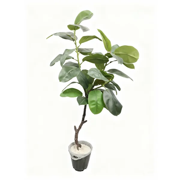 گیاه مصنوعی فیکوس الاستیکا