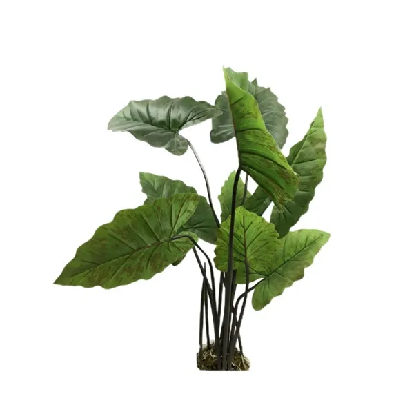 گیاه بابا آدم (آلوکازیا) مصنوعی
